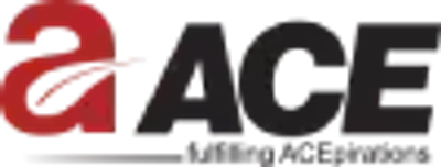 ACE Group India